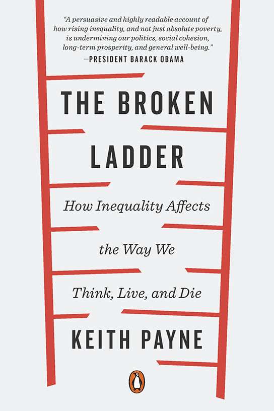 The Broken Ladder - Book Cover