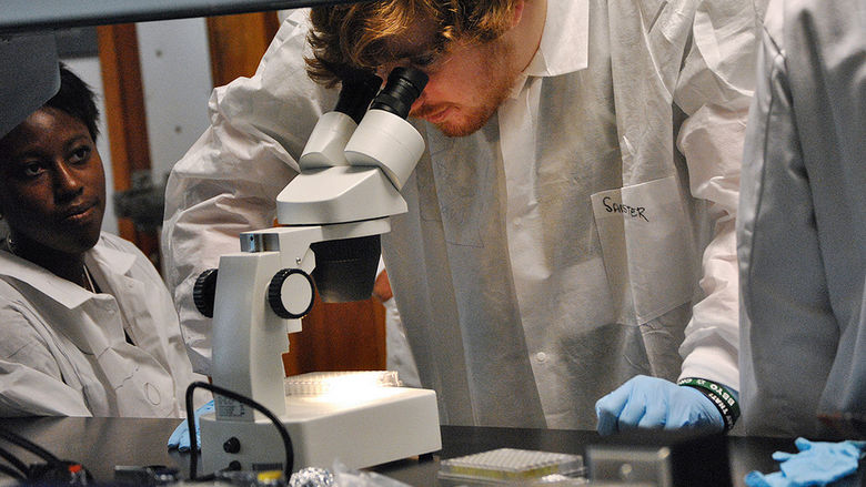 High school students studied plant research in the Central PA Research and Teaching Lab for Biofuels at Penn State Harrisburg