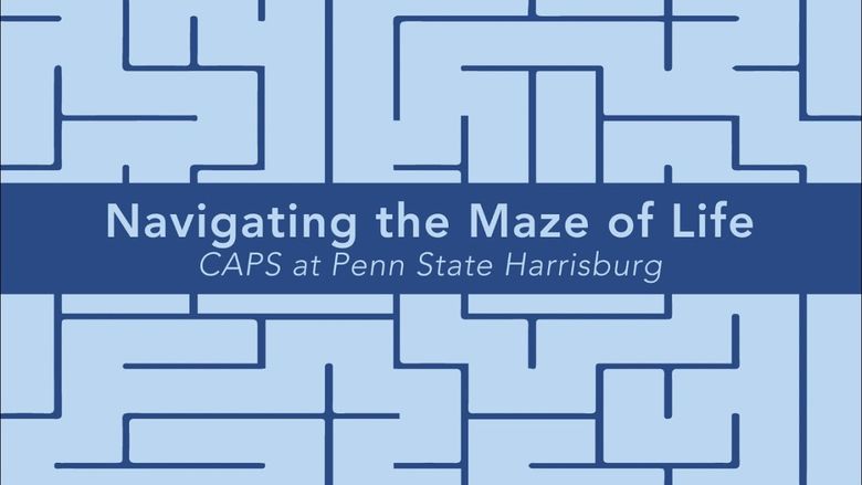 Navigating the Maze of Life