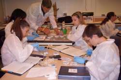 Students Working on a Lab in Class