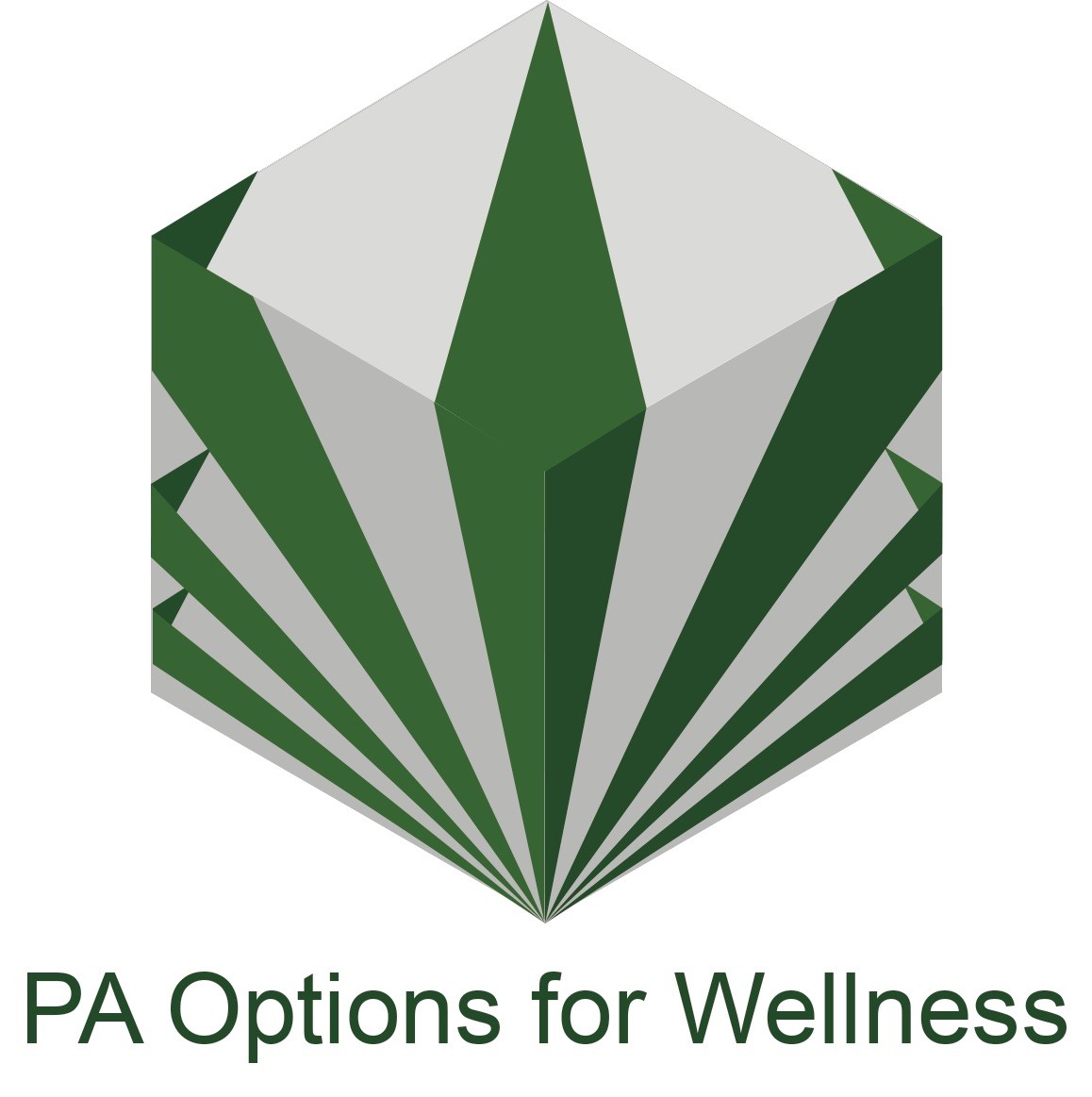 PA options of wellness Logo