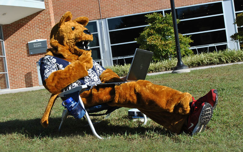 Nittany Lion reclining and using laptop