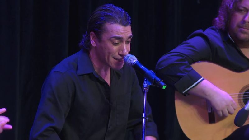 Passion of Flamenco - video