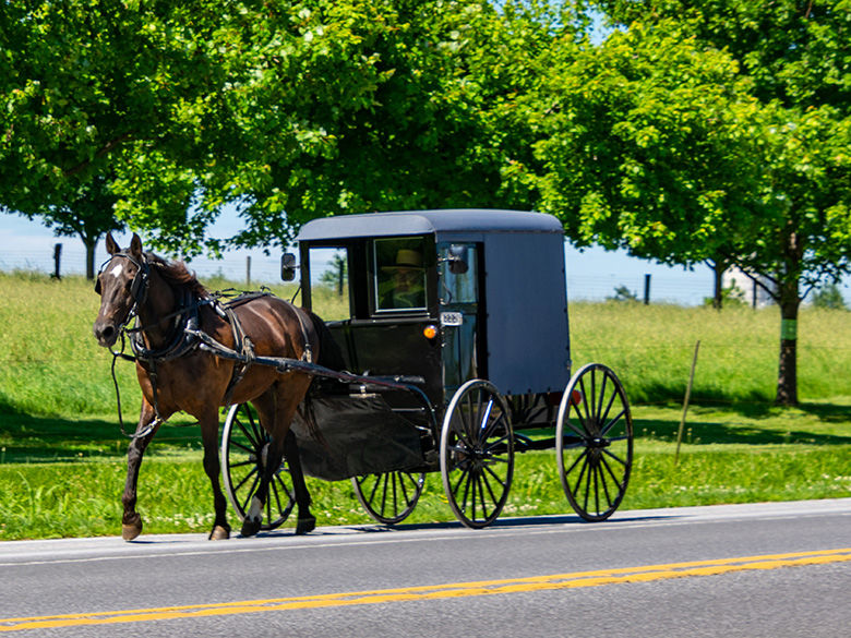 An Amish horse and buggy on a rural road