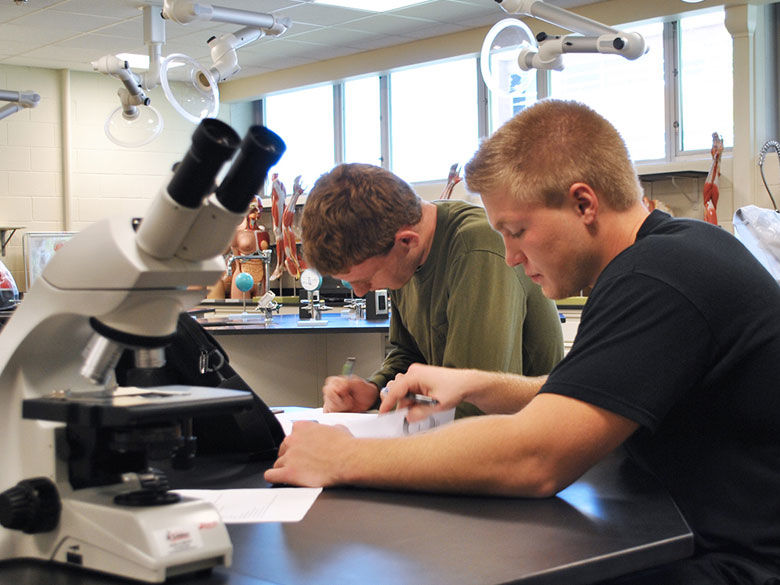 students working in a biology lab near a microscope