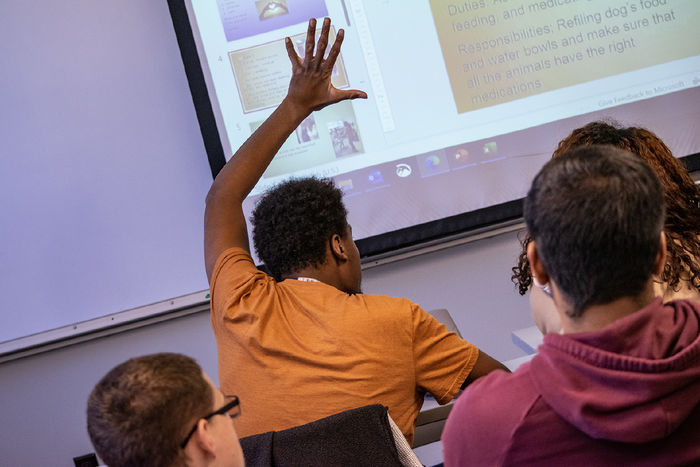 A student raises his hand during class.