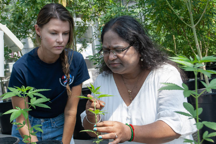 Two women look closely at a plant in a greenhouse