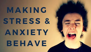Maxing stress/anxiety behave
