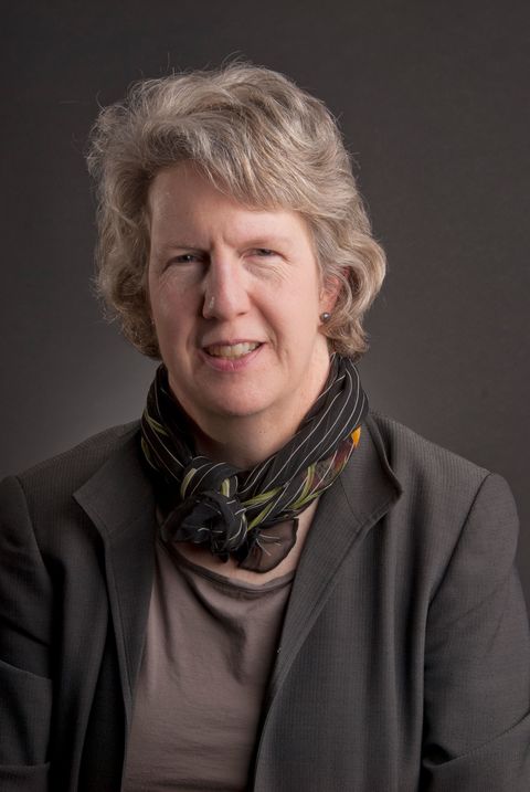 Anne A. Verplanck, Ph.D. Anne A. Verplanck, Ph.D.