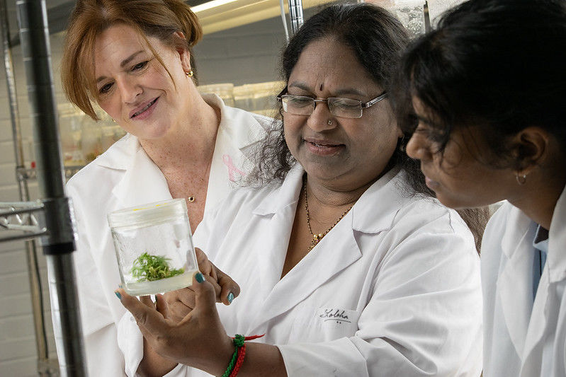 Kerri Rapp, Dr. Shobha Rudrabhatla, and a student researcher