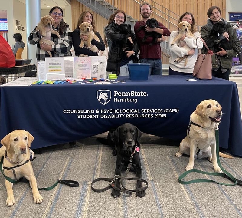 Susquehanna  service dogs and puppies