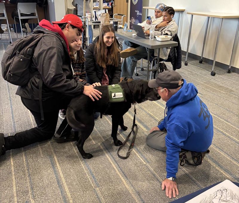 Susquehanna service dogs