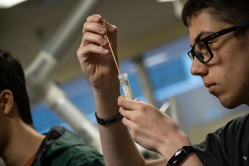 A student holds a test tube during a biology workshop
