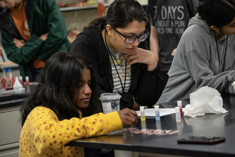 Students work at a lab table with small bottles of liquid