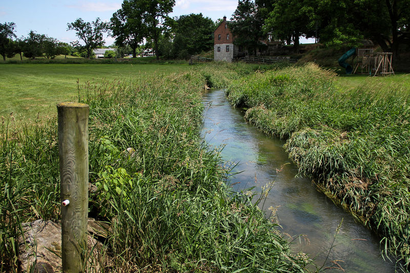 Buffered stream on farm in Lancaster County