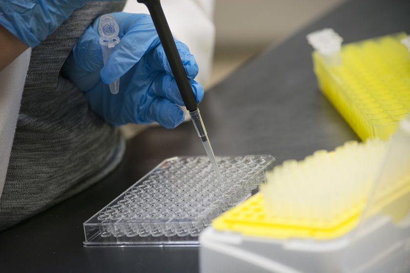 hands performing science experiment