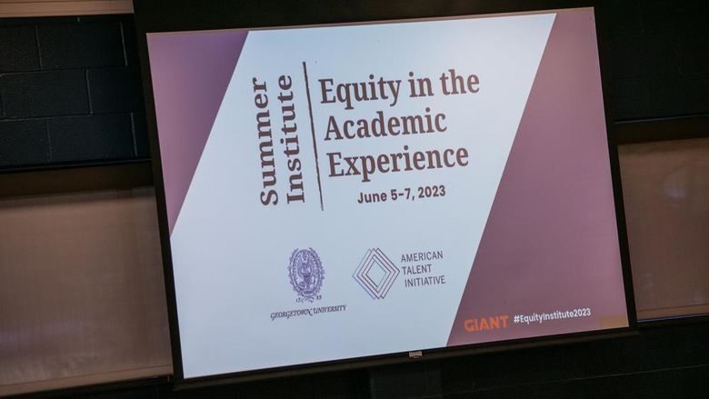 Powerpoint Screen that reads "Summer Institute Equity in the Academic Experience"