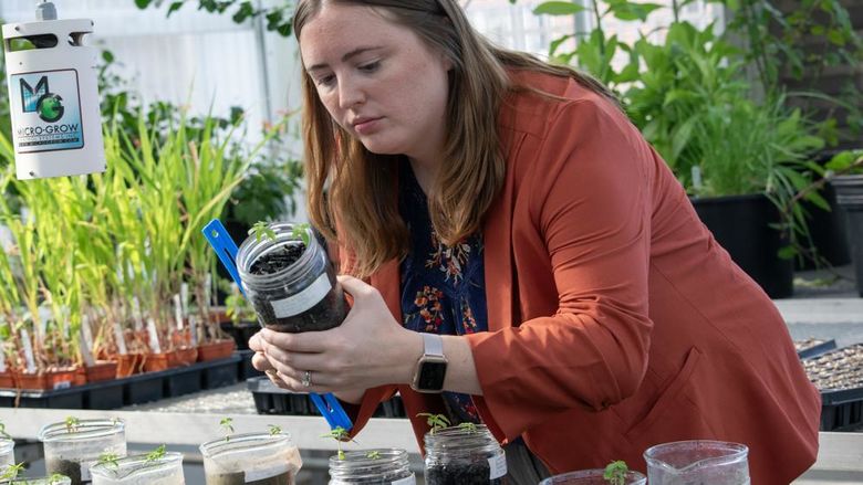 A woman holds a jar of soil and a ruler, taking a measurement, with plants behind her