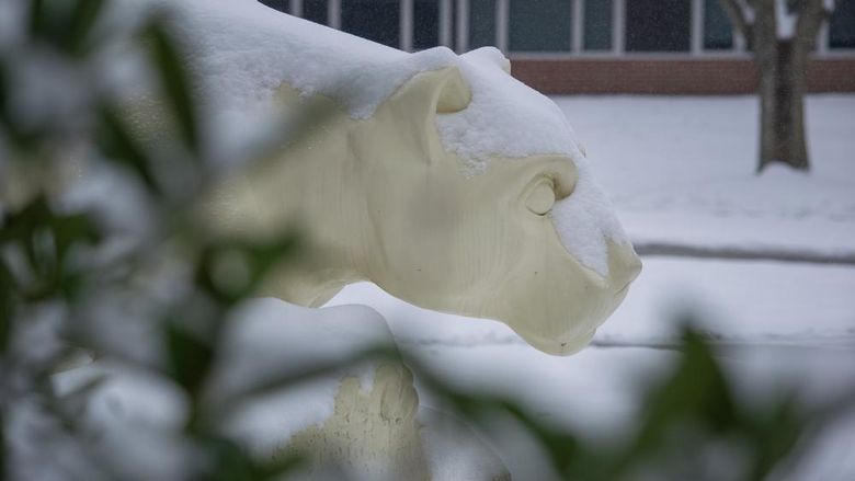 Lion statue covered in snow