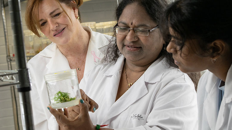 Kerri Rapp, Dr. Shobha Rudrabhatla, and a student researcher