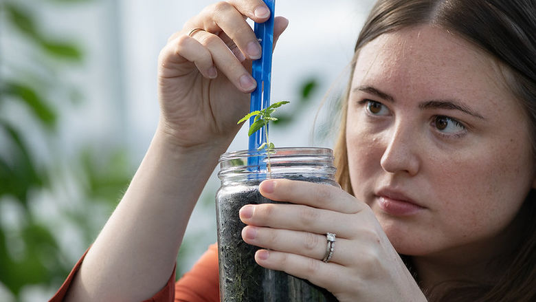 Rebecca Torres in the greenhouse