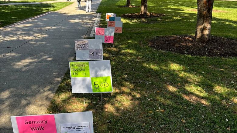 Sensory walk