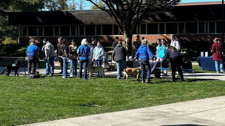Service dogs