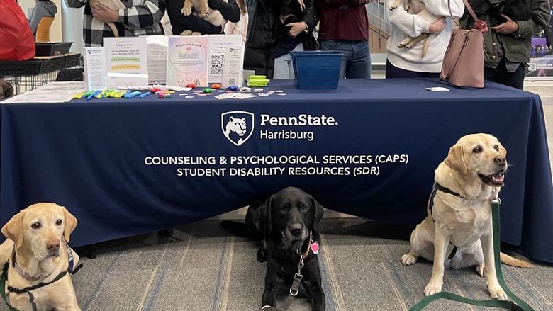 Susquehanna  service dogs and puppies
