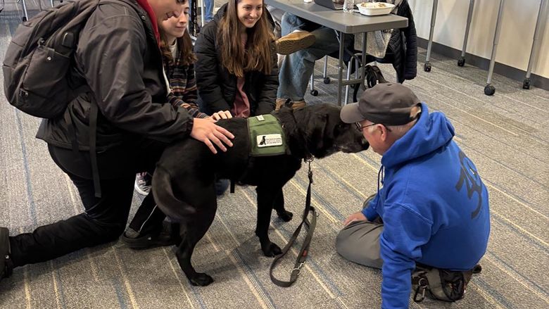Susquehanna service dogs