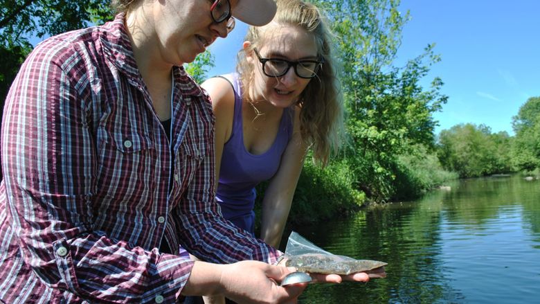 two female students looking at water samples