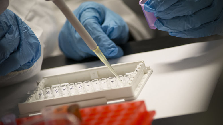 Blue gloved hands using a pipette to transfer liquid into small, labeled test tubes arranged in a white plastic holder. Another gloved hand is holding a small purple container. 