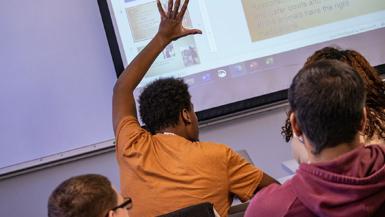 A student raises his hand during class.