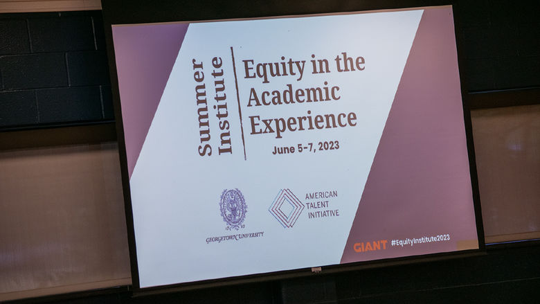 Powerpoint Screen that reads "Summer Institute Equity in the Academic Experience"