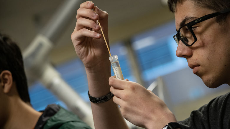 A student holds a test tube during a biology workshop