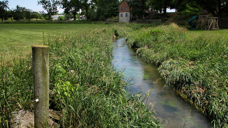 Buffered stream on farm in Lancaster County