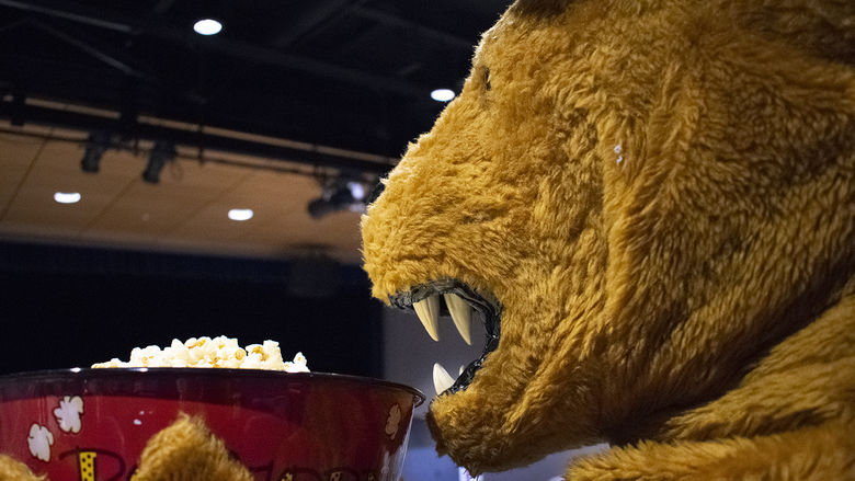 Lion at movies with popcorn
