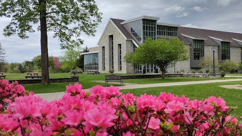 Pink rhododendron in the foreground with an academic building and large tree in the background