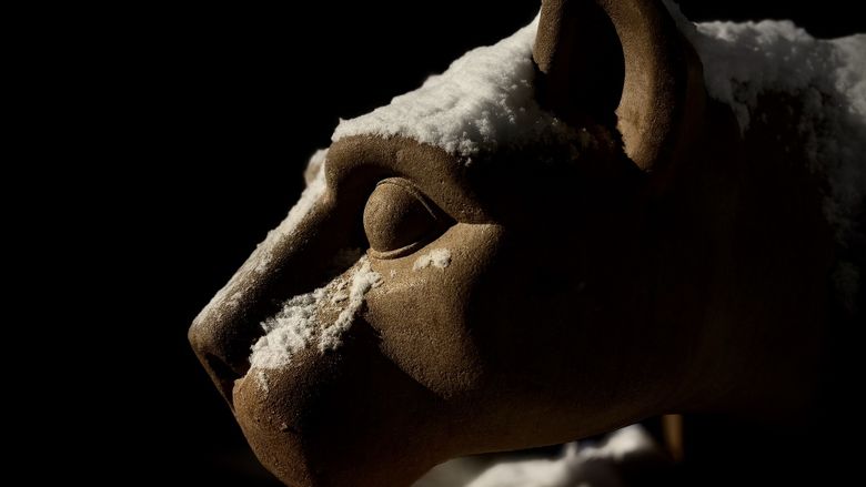 A side portrait of the Nittany Lion shrine at night