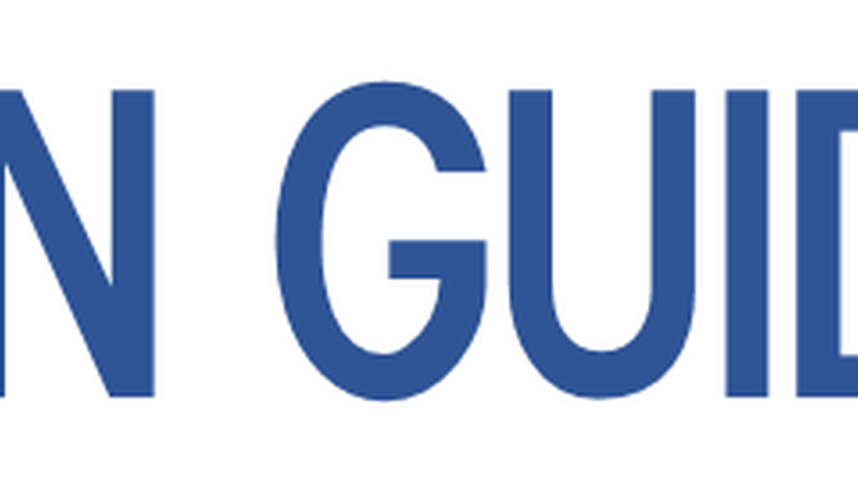 Lion Guides Logo