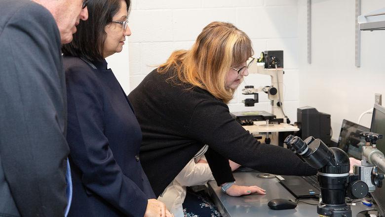 Individuals looking at lab specimens 