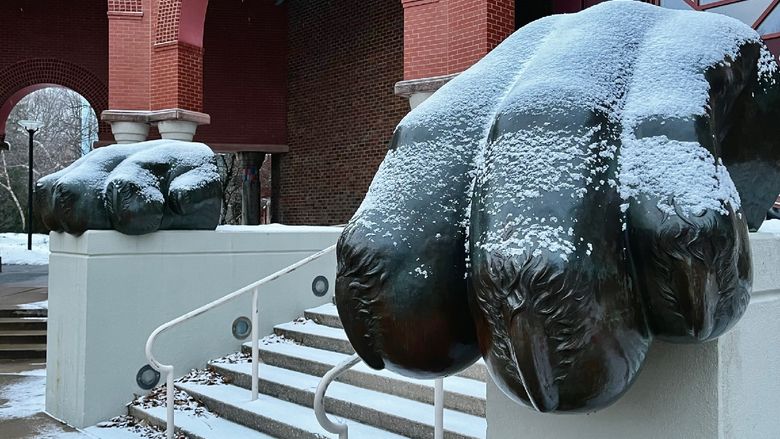 A black statue of a lion's paw covered in snow