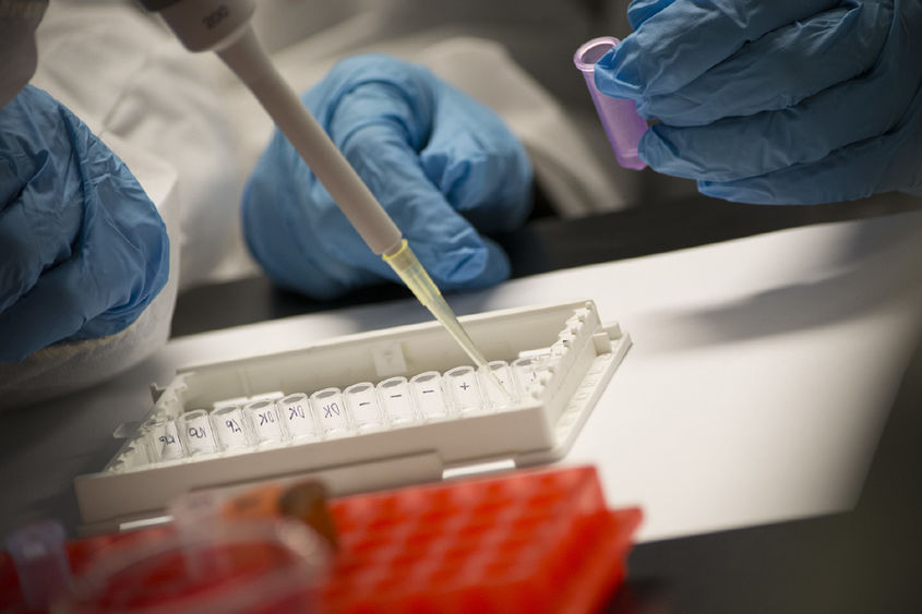 Blue gloved hands using a pipette to transfer liquid into small, labeled test tubes arranged in a white plastic holder. Another gloved hand is holding a small purple container. 