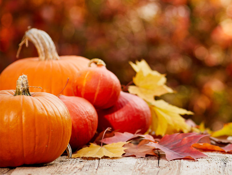 pumkins and leaves