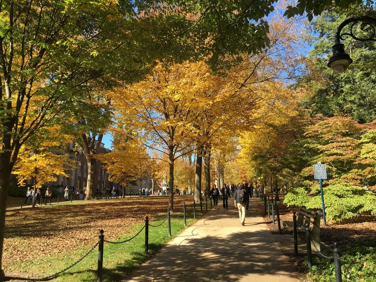 Penn State Mall display fall colors