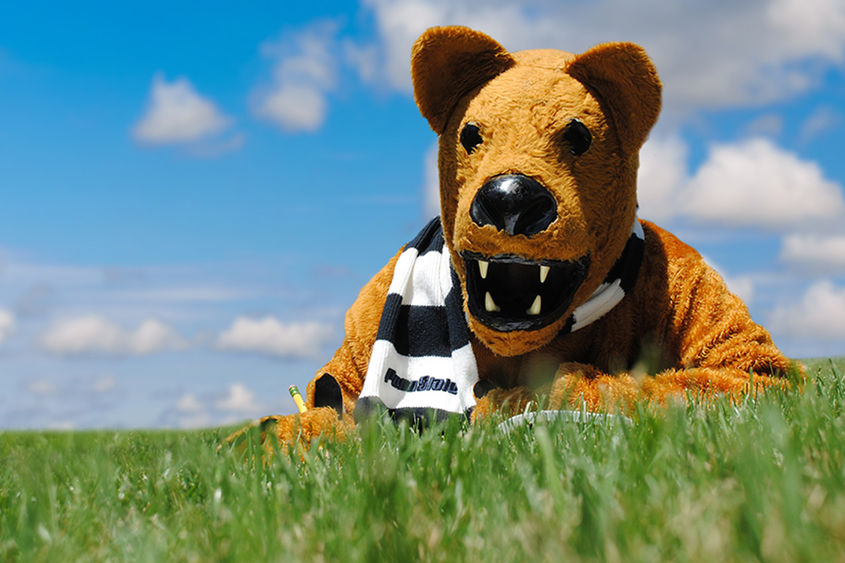 Nittany Lion laying on grass